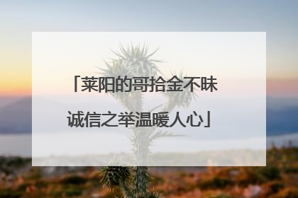 莱阳的哥拾金不昧 诚信之举温暖人心