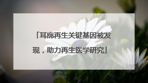 耳廓再生关键基因被发现，助力再生医学研究