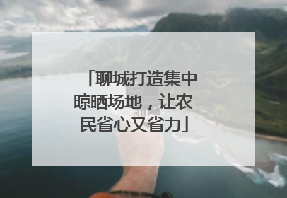 聊城打造集中晾晒场地，让农民省心又省力