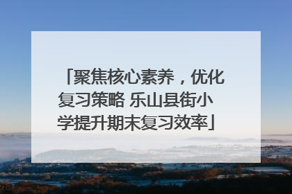 聚焦核心素养，优化复习策略 乐山县街小学提升期末复习效率