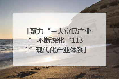 聚力“三大富民产业” 不断深化“1131”现代化产业体系