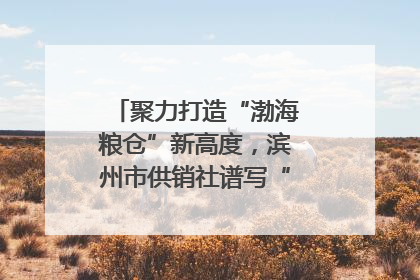 聚力打造“渤海粮仓”新高度，滨州市供销社谱写“三夏”丰收乐章