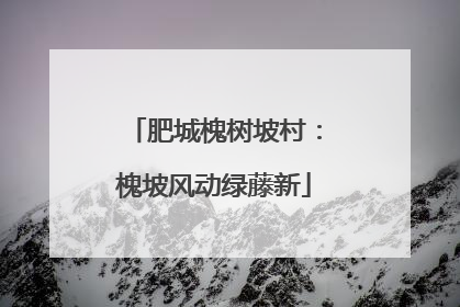 肥城槐树坡村：槐坡风动绿藤新