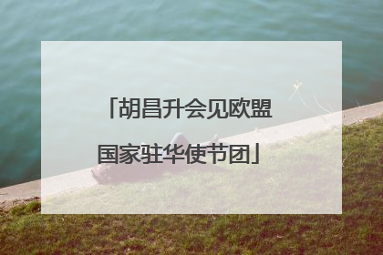 胡昌升会见欧盟国家驻华使节团