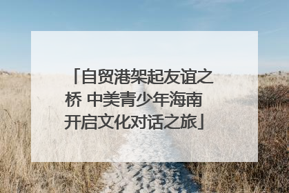 自贸港架起友谊之桥 中美青少年海南开启文化对话之旅