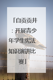 自贡贡井：开展青少年学生宪法知识演讲比赛