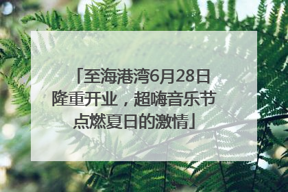 至海港湾6月28日隆重开业，超嗨音乐节点燃夏日的激情