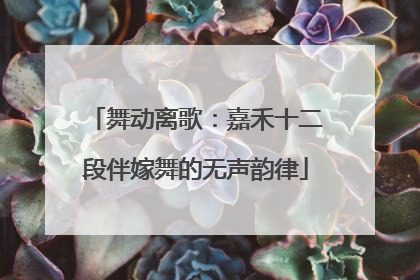 舞动离歌:嘉禾十二段伴嫁舞的无声韵律