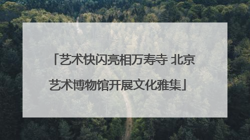艺术快闪亮相万寿寺 北京艺术博物馆开展文化雅集