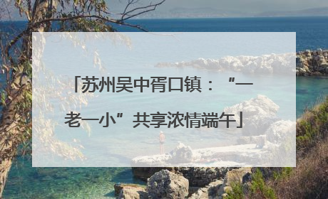 苏州吴中胥口镇：“一老一小”共享浓情端午