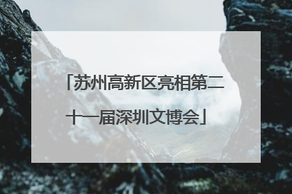 苏州高新区亮相第二十一届深圳文博会