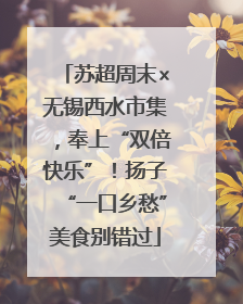苏超周末×无锡西水市集，奉上“双倍快乐”！扬子“一口乡愁”美食别错过