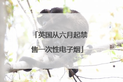 英国从六月起禁售一次性电子烟