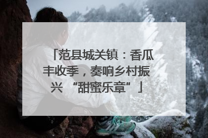 范县城关镇：香瓜丰收季，奏响乡村振兴 “甜蜜乐章”
