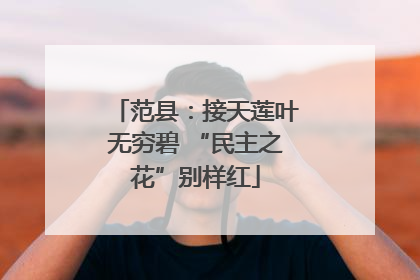 范县：接天莲叶无穷碧 “民主之花”别样红