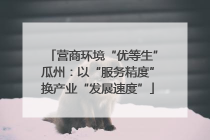 营商环境“优等生”瓜州：以“服务精度”换产业“发展速度”