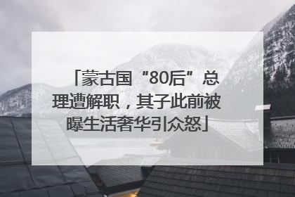 蒙古国“80后”总理遭解职，其子此前被曝生活奢华引众怒