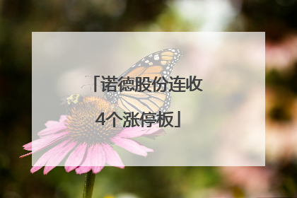 诺德股份连收4个涨停板