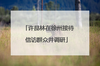 许昆林在徐州接待信访群众并调研