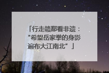 行走赣鄱看非遗：“希望岳家拳的身影遍布大江南北”