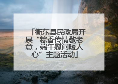 衡东县民政局开展“粽香传情敬老意，端午慰问暖人心”主题活动