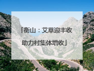 衡山：艾草迎丰收 助力村集体增收