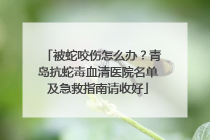 被蛇咬伤怎么办？青岛抗蛇毒血清医院名单及急救指南请收好
