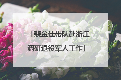裴金佳带队赴浙江调研退役军人工作