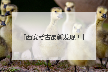 西安考古最新发现！