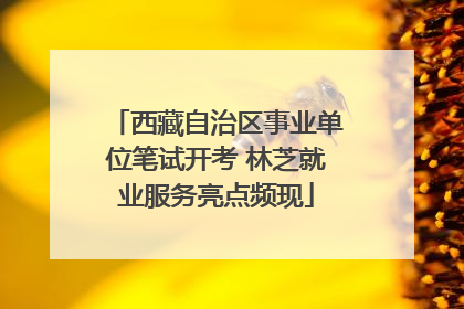 西藏自治区事业单位笔试开考 林芝就业服务亮点频现