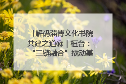 解码淄博文化书院共建之道⑩｜桓台：“三链融合”撬动基层文化共治新动能