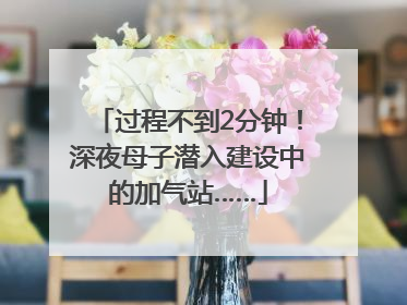 过程不到2分钟！深夜母子潜入建设中的加气站……