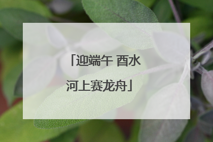 迎端午 酉水河上赛龙舟