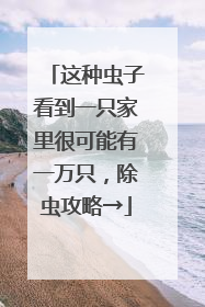 这种虫子看到一只家里很可能有一万只，除虫攻略→