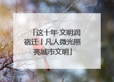 这十年·文明润宿迁丨凡人微光照亮城市文明
