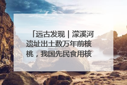 远古发现｜濛溪河遗址出土数万年前核桃，我国先民食用核桃历史大幅提前