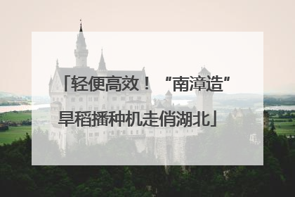 轻便高效！“南漳造”旱稻播种机走俏湖北