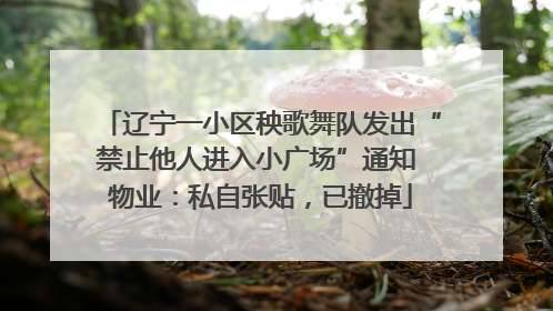 辽宁一小区秧歌舞队发出“禁止他人进入小广场”通知 物业：私自张贴，已撤掉