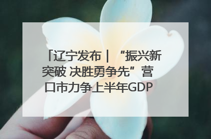 辽宁发布｜“振兴新突破 决胜勇争先”营口市力争上半年GDP增长6%左右