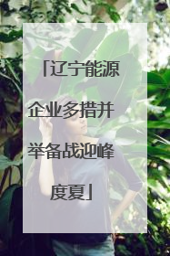 辽宁能源企业多措并举备战迎峰度夏
