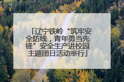 辽宁铁岭“筑牢安全防线，青年勇当先锋”安全生产进校园主题团日活动举行