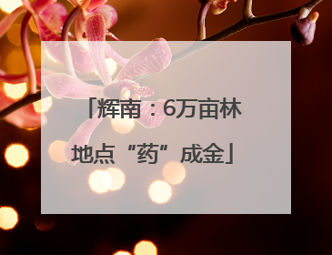 辉南：6万亩林地点“药”成金