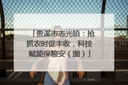 贵溪市志光镇：抢抓农时促丰收，科技赋能保粮安（图）