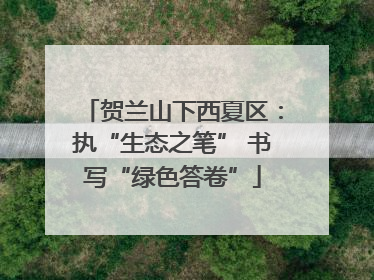 贺兰山下西夏区：执“生态之笔” 书写“绿色答卷”
