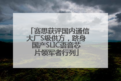 赛思获评国内通信大厂S级供方，跻身国产SLIC语音芯片领军者行列