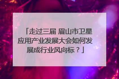 走过三届 眉山市卫星应用产业发展大会如何发展成行业风向标？