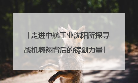 走进中航工业沈阳所探寻战机翱翔背后的铸剑力量