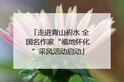 走进青山碧水 全国名作家“福地怀化”采风活动启动