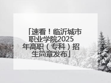 速看！临沂城市职业学院2025年高职（专科）招生简章发布