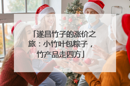 遂昌竹子的涨价之旅：小竹叶包粽子，竹产品走四方
